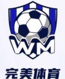 完美·体育(中国)官方网站-WM SPORT